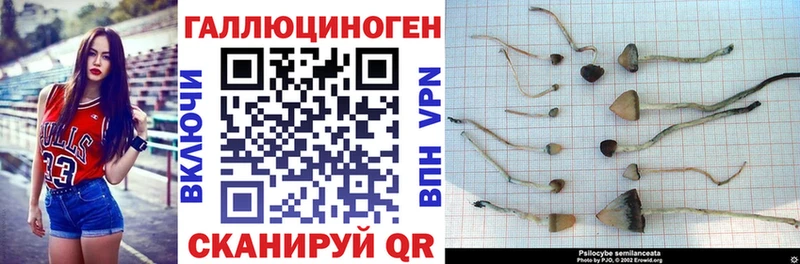 Галлюциногенные грибы Cubensis  купить наркотики цена  Малоархангельск 
